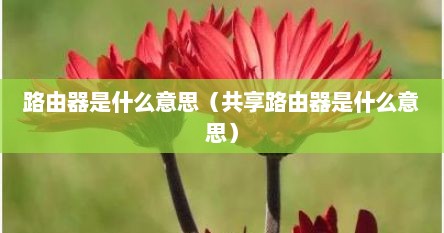 路由器 共享（wifi共享路由器）