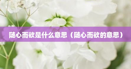 随心而欲是什么意思（随心而欲的意思）