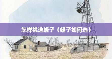 怎样挑选蛏子（蛏子如何选）