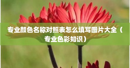 专业颜色名称对照表怎么填写图片大全（专业色彩知识）