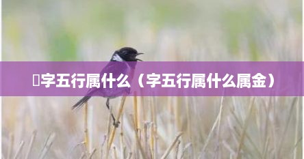 姈字五行属什么（字五行属什么属金）