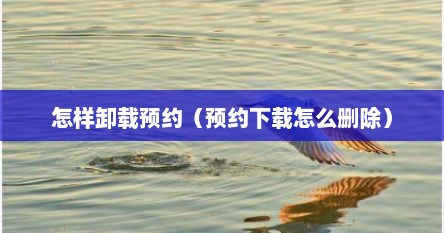 怎样卸载预约（预约下载怎么删除）