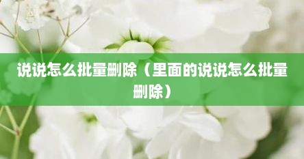 说说怎么批量删除（里面的说说怎么批量删除）