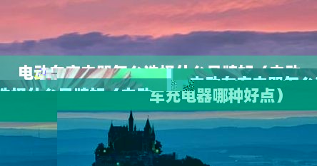 电动车充电器怎么选择什么品牌好（电动车充电器哪种好点）