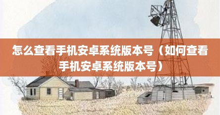 怎么查看手机安卓系统版本号（如何查看手机安卓系统版本号）