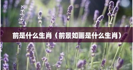 前是什么生肖（前景如画是什么生肖）