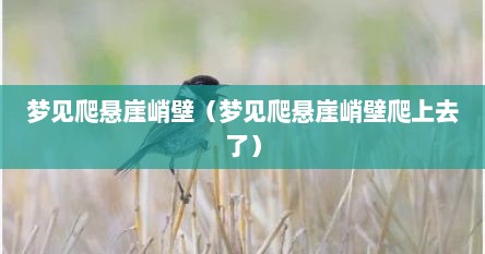 梦见爬悬崖峭壁（梦见爬悬崖峭壁爬上去了）