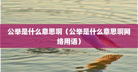 公举是什么意思啊（公举是什么意思啊网络用语）