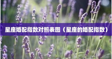 星座婚配指数对照表图（星座的婚配指数）