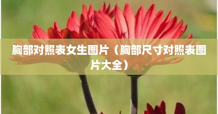 胸部对照表女生图片（胸部尺寸对照表图片大全）