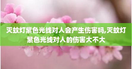 灭蚊灯紫色光线对人会产生伤害吗,灭蚊灯紫色光线对人的伤害大不大