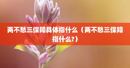 两不愁三保障具体指什么（两不愁三保障指什么?）
