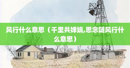 风行什么意思（千里共婵娟,思念随风行什么意思）