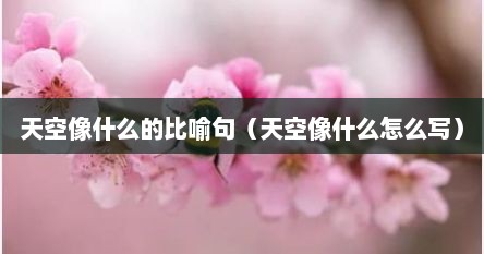 天空像什么的比喻句（天空像什么怎么写）