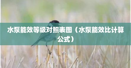 水泵能效等级对照表图（水泵能效比计算公式）