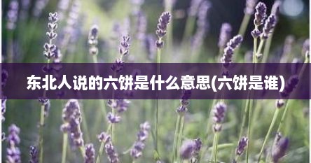 东北人说的六饼是什么意思(六饼是谁)