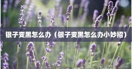 银子变黑怎么办（银子变黑怎么办小妙招）