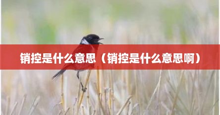 销控是什么意思（销控是什么意思啊）