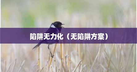 陷阱无力化（无陷阱方案）