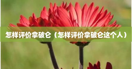 怎样评价拿破仑（怎样评价拿破仑这个人）