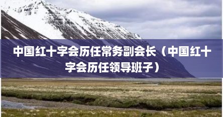 中国红十字会历任常务副会长（中国红十字会历任领导班子）
