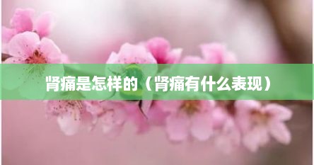 肾痛是怎样的（肾痛有什么表现）