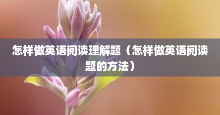 怎样做英语阅读理解题（怎样做英语阅读题的方法）