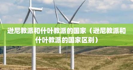 逊尼教派和什叶教派的国家（逊尼教派和什叶教派的国家区别）