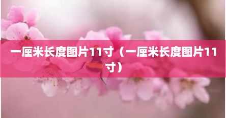 一厘米长度图片11寸(一厘米长度图片11寸)