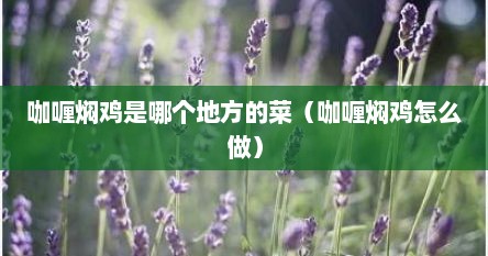 咖喱鸡要焖多久（咖喱焖鸡的料头是什么）