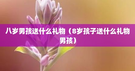 八岁男孩送什么礼物（8岁孩子送什么礼物男孩）