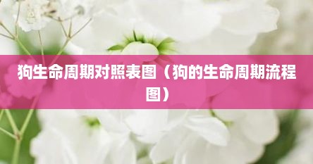 狗生命周期对照表图（狗的生命周期流程图）