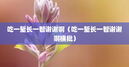 吃一堑长一智谢谢啊（吃一堑长一智谢谢啊横批）