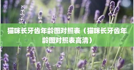猫咪长牙齿年龄图对照表（猫咪长牙齿年龄图对照表高清）