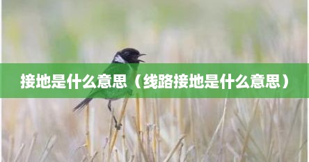 接地是什么意思（线路接地是什么意思）