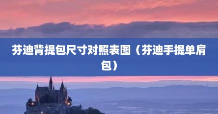芬迪背提包尺寸对照表图（芬迪手提单肩包）