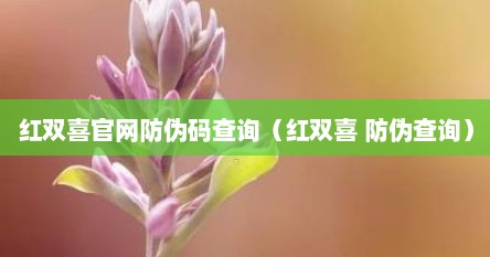 红双喜官网防伪码查询（红双喜 防伪查询）