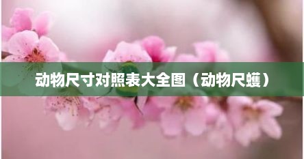 动物尺寸对照表大全图（动物尺蠖）