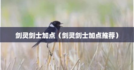 剑灵剑士pk加点2019（剑灵剑士加点攻略）