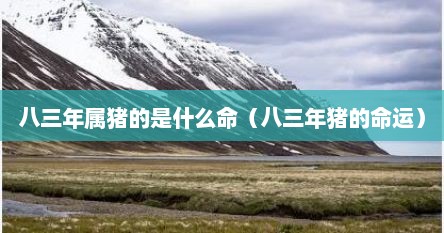 八三年属猪的是什么命（八三年猪的命运）