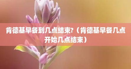 肯德基早餐时间是几点到几点（肯德基早餐几点到几点结束东胜）