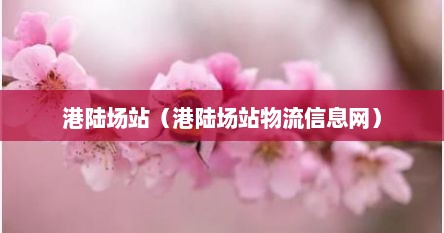 港陆场站（港陆场站物流信息网）