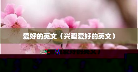 爱好的英文（兴趣爱好的英文）