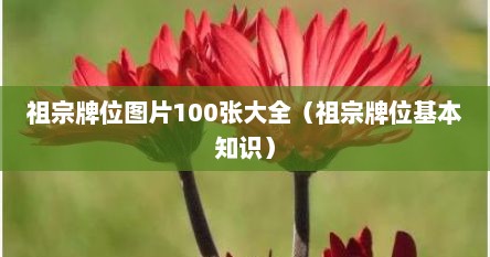 祖宗牌位图片100张大全（祖宗牌位基本知识）