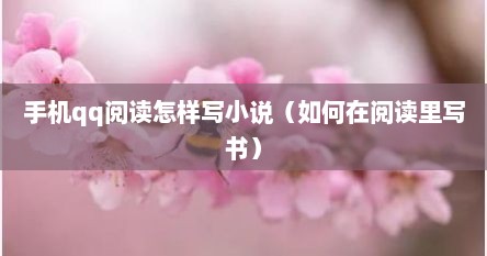 手机qq阅读怎样写小说（如何在阅读里写书）