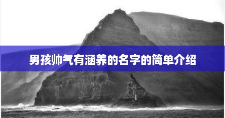 男孩帅气有涵养的名字的简单介绍