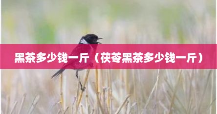 黑茶多少钱一斤（茯苓黑茶多少钱一斤）