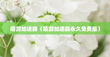 嘻游加速器（嘻游加速器永久免费版）