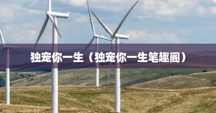 独宠你一生（独宠你一生笔趣阁）