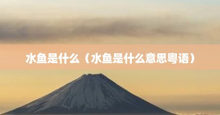 水鱼是什么（水鱼是什么意思粤语）